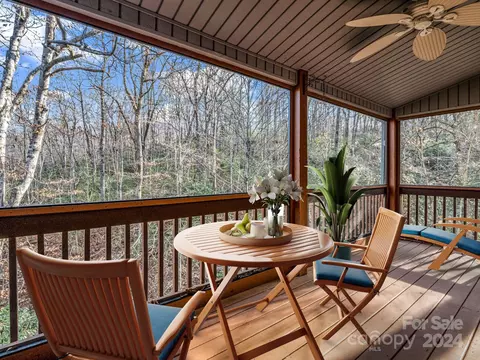 10 Duya Ct, Brevard, NC 28712 photo 34