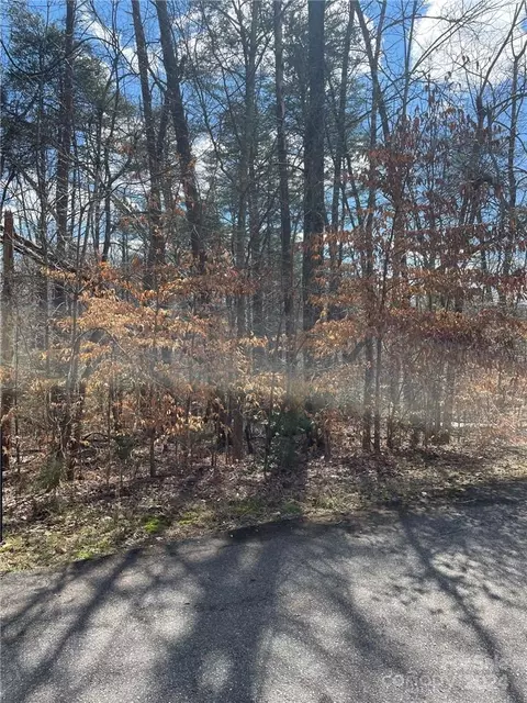 00 Pineview 9 Ct #9, Tryon, NC 28782 photo 2