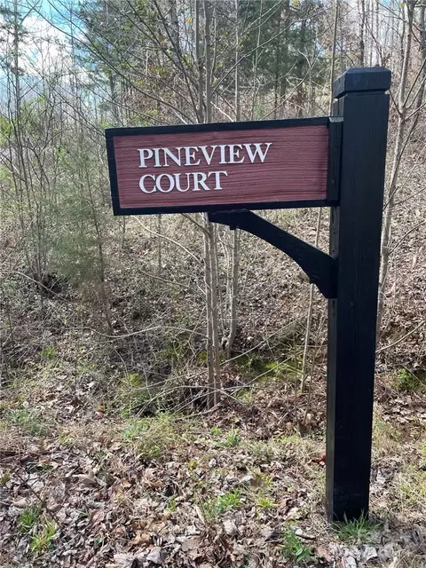 00 Pineview 9 Ct #9, Tryon, NC 28782 photo 3