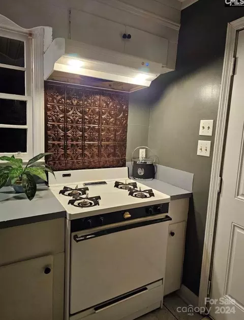 Other - 703 Blackmon N St N, Bethune, SC 29009 photo 12 of 18