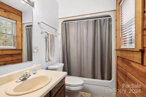Bath - 42 Pine Tree Ln, Flat Rock, NC 28731 photo 2 of 2