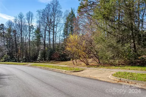 Stonehouse V-5r Road #V-5R, Brevard, NC 28712