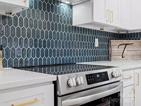 201 Seneca Pl, Charlotte, NC 28210 photo 23
