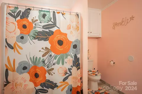 Bath - 1106 Cat Square Rd, Vale, NC 28168 photo 2 of 4