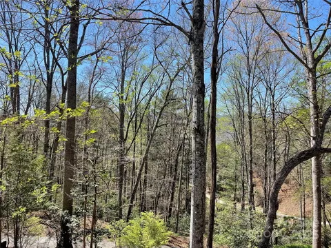 347 Elk Rd, Sylva, NC 28779 photo 25
