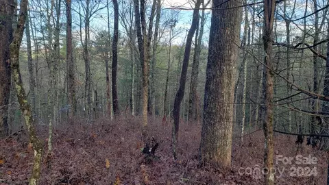 Cedar Lane, Brevard, NC 28712