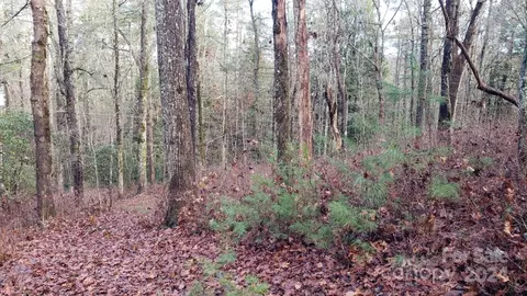 Cedar Lane, Brevard, NC 28712 photo 8