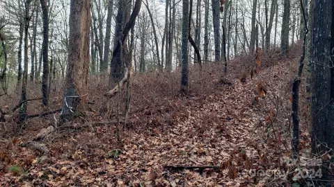 Cedar Lane, Brevard, NC 28712 photo 4