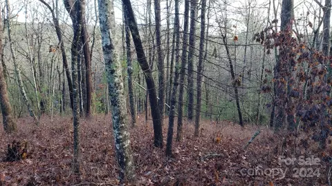 Cedar Lane, Brevard, NC 28712 photo 2