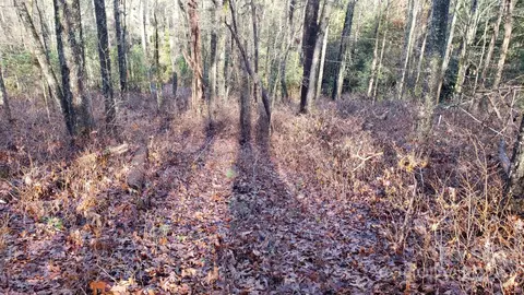 Cedar Lane, Brevard, NC 28712 photo 10