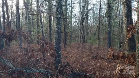 Cedar Lane, Brevard, NC 28712 photo 9
