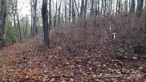 Cedar Lane, Brevard, NC 28712 photo 7