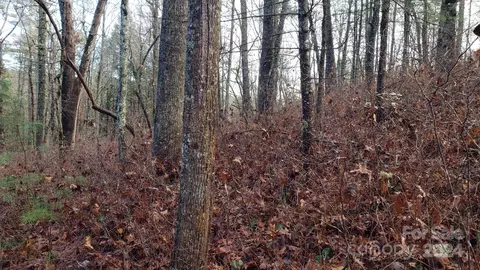 Cedar Lane, Brevard, NC 28712 photo 6