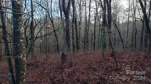 Cedar Lane, Brevard, NC 28712 photo 3