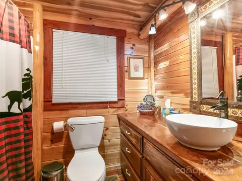 Bath - 354 Nelons Rd, Mill Spring, NC 28756 photo 1 of 3