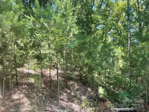 00 Pine Moss Ln, Clover, SC 29710 photo 3