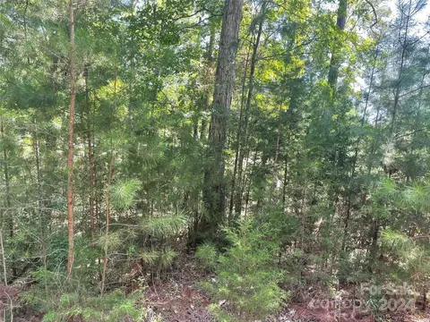 00 Pine Moss Ln, Clover, SC 29710 photo 2