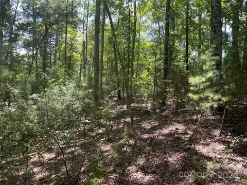00 Pine Moss Ln, Clover, SC 29710 photo 6