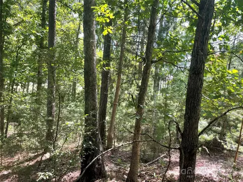 00 Pine Moss Ln, Clover, SC 29710 photo 4