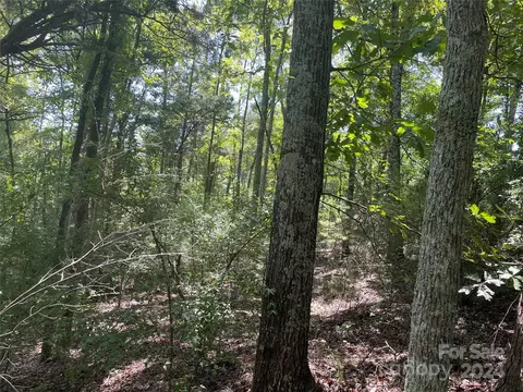 00 Pine Moss Ln, Clover, SC 29710 photo 5