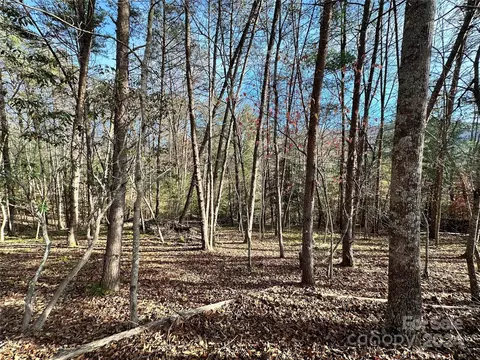 Burley Ridge, Candler, NC 28715