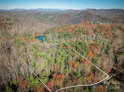 Knight Road, Saluda, NC 28773