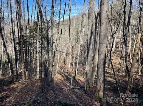12 Rules Run 12c Rd #12C, Waynesville, NC 28786