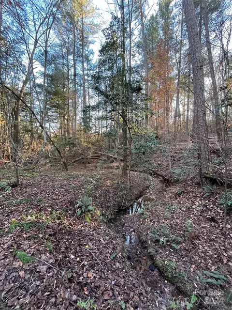 Nc 16 Highway, Taylorsville, NC 28681