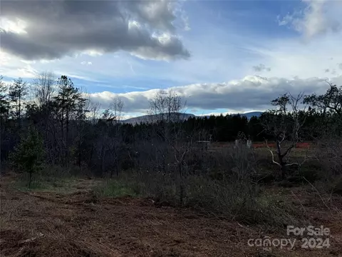0 Rubin Wilson Rd, Mill Spring, NC 28756 photo 4