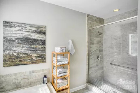 Bath - 348 Broadleaf Dr, Denver, NC 28037 photo 3 of 5