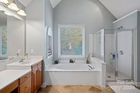 10232 Squires Way, Cornelius, NC 28031 photo 23