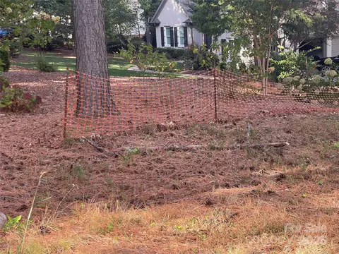 17007 Jetton Rd, Cornelius, NC 28031 photo 6