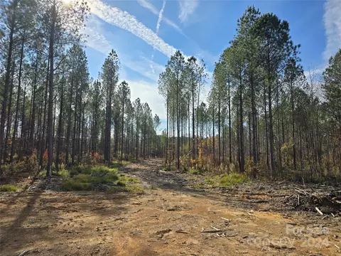 Raggle Road, Gold Hill, NC 28071