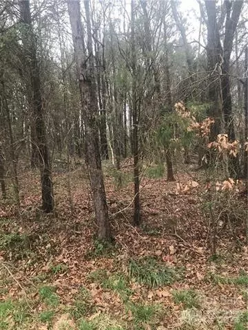 105 Spring Run 134 Dr #134, Mooresville, NC 28117