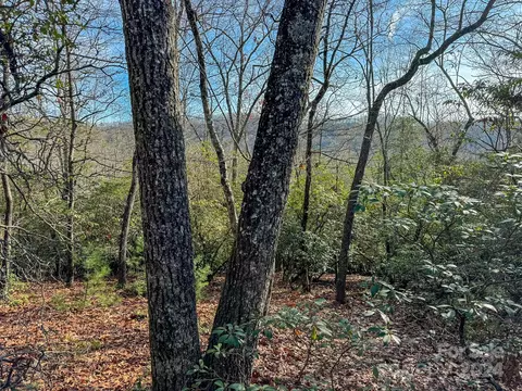 Dave Whitaker Road, Horse Shoe, NC 28742