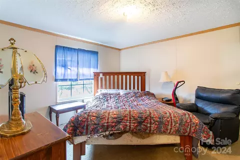 141 Thomas Branch Rd, Marshall, NC 28753 photo 15