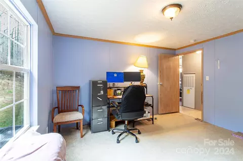 141 Thomas Branch Rd, Marshall, NC 28753 photo 13