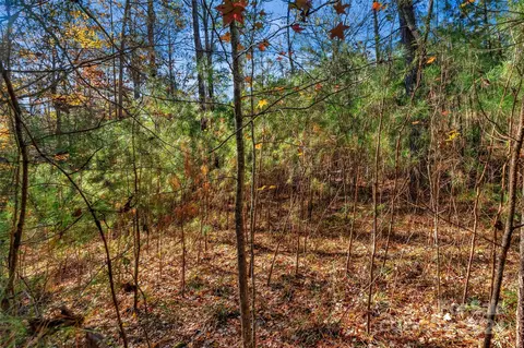 0000 River Rd, Ridgeway, SC 29130 photo 20
