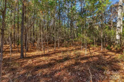 0000 River Rd, Ridgeway, SC 29130 photo 23