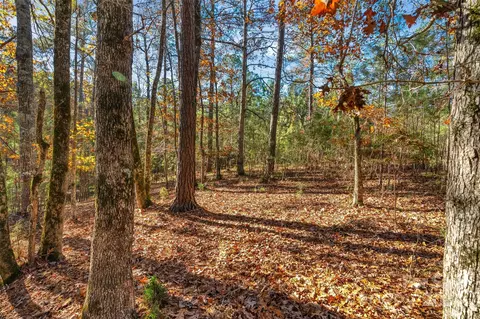 0000 River Rd, Ridgeway, SC 29130 photo 8