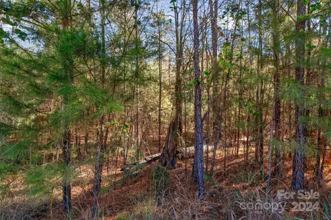 0000 River Rd, Ridgeway, SC 29130 photo 18