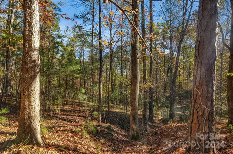 0000 River Rd, Ridgeway, SC 29130 photo 24