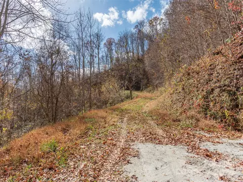 Mcnary Drive, Clyde, NC 28721