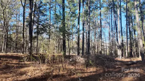 Sunnyside Drive, Lancaster, SC 29720 photo 16