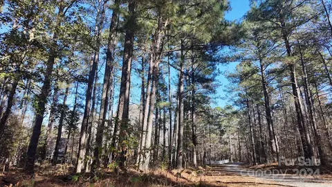 Sunnyside Drive, Lancaster, SC 29720 photo 8