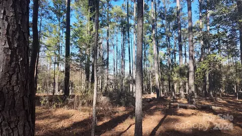 Sunnyside Drive, Lancaster, SC 29720 photo 7
