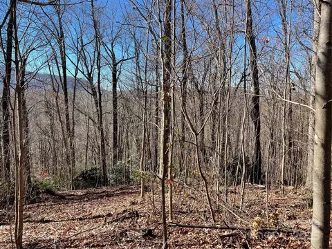 Nesbitt Chapel Road, Fairview, NC 28730