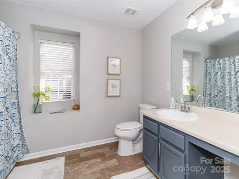 207 Lameshur Ln, Monroe, NC 28110 photo 29