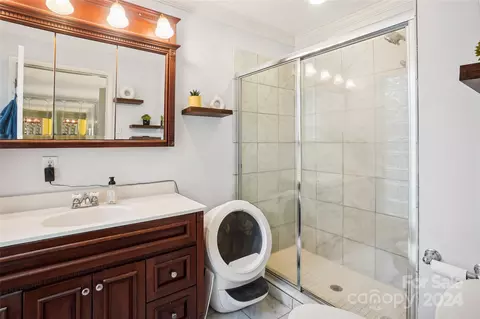 Bath - 1202 Brook Dr, Lancaster, SC 29720 photo 3 of 4