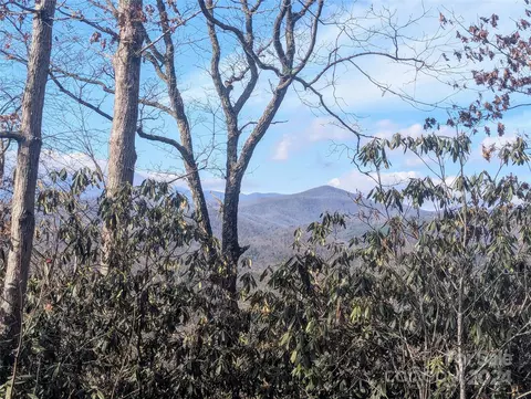Top Oaks Lane, Pisgah Forest, NC 28768